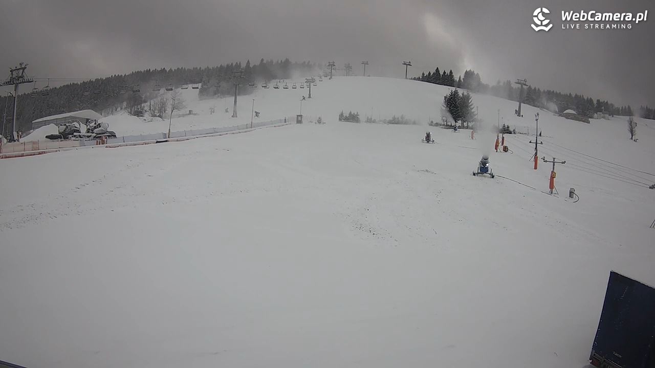 Zieleniec Sport Arena - Bartuś - 20 listopad 2024, 13:07