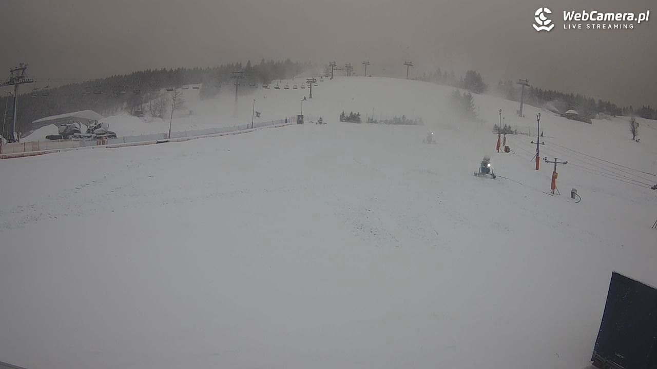 Zieleniec Sport Arena - Bartuś - 20 listopad 2024, 14:43