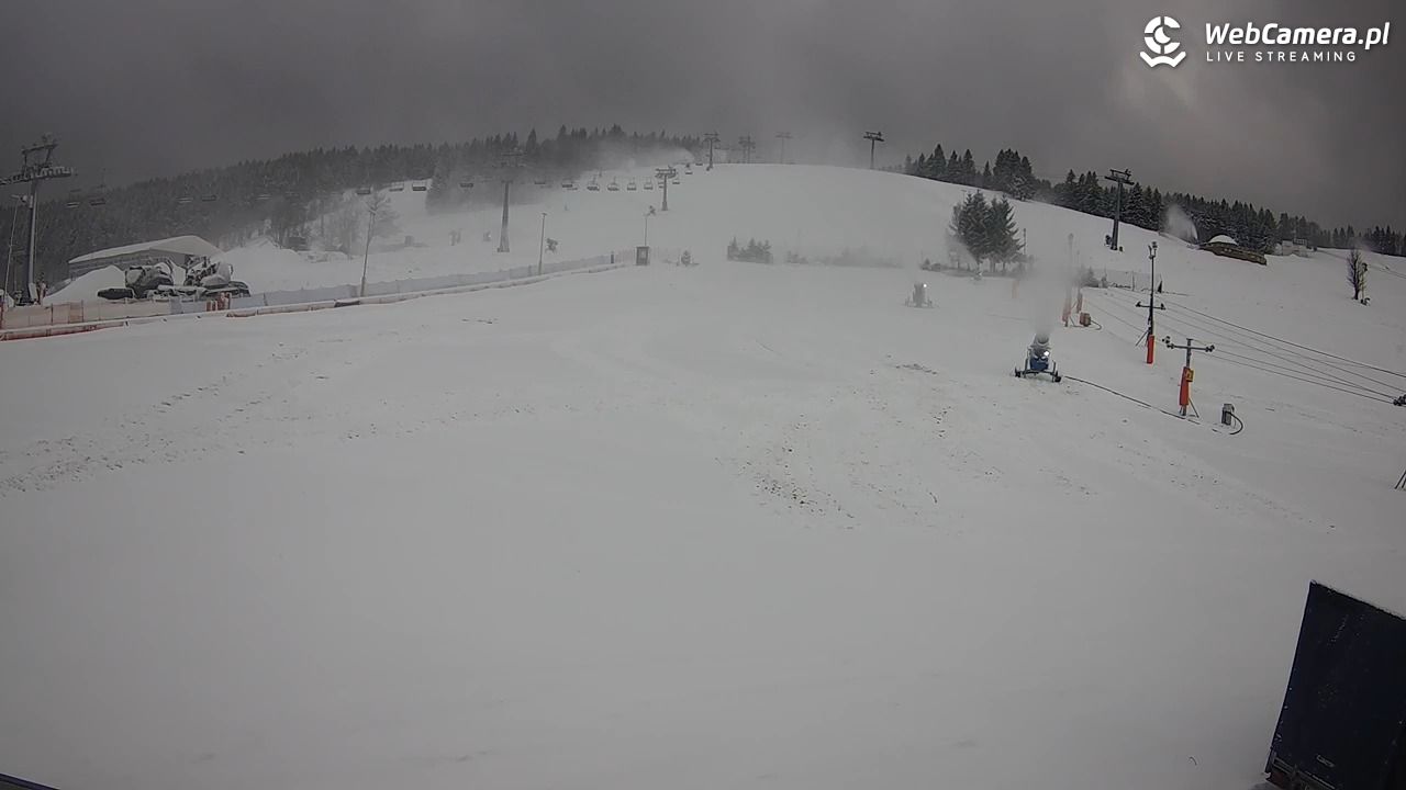 Zieleniec Sport Arena - Bartuś - 20 listopad 2024, 12:42