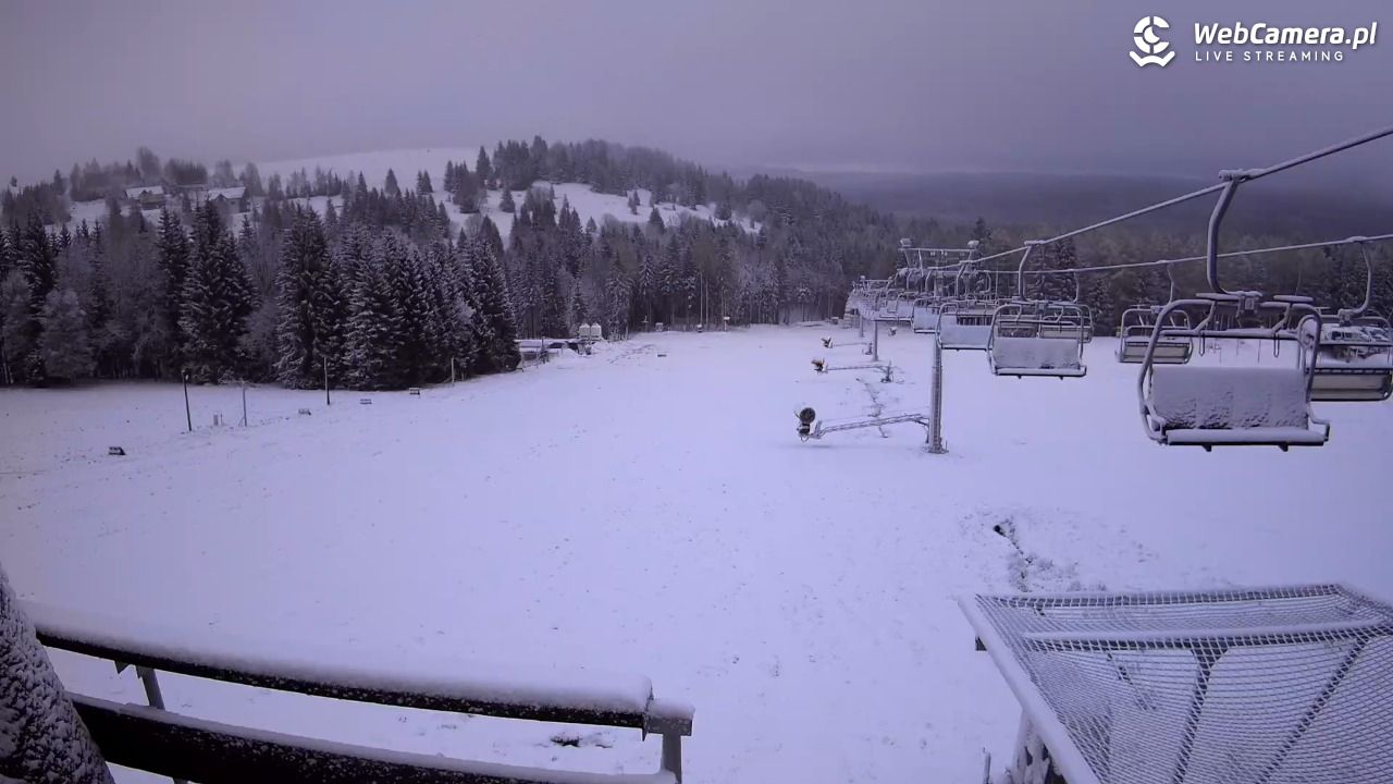 Zieleniec Sport Arena - Diament - NOWOŚĆ - 20 listopad 2024, 08:10