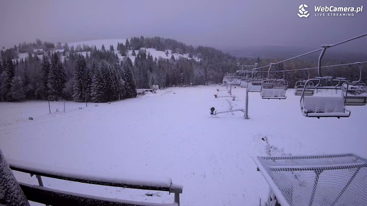 Zieleniec Sport Arena - Diament - NOWOŚĆ - 20 listopad 2024, 08:06