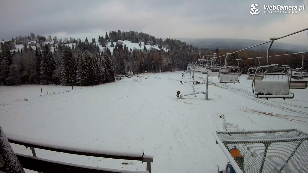 Zieleniec Sport Arena - Diament - NOWOŚĆ - 20 listopad 2024, 15:01