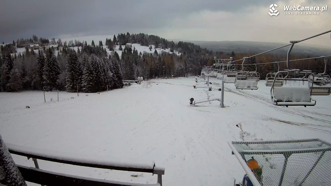 Zieleniec Sport Arena - Diament - NOWOŚĆ - 20 listopad 2024, 14:37