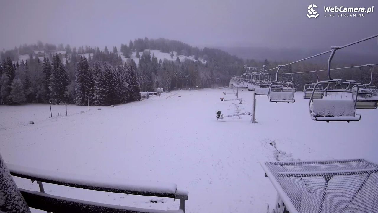 Zieleniec Sport Arena - Diament - NOWOŚĆ - 20 listopad 2024, 08:03