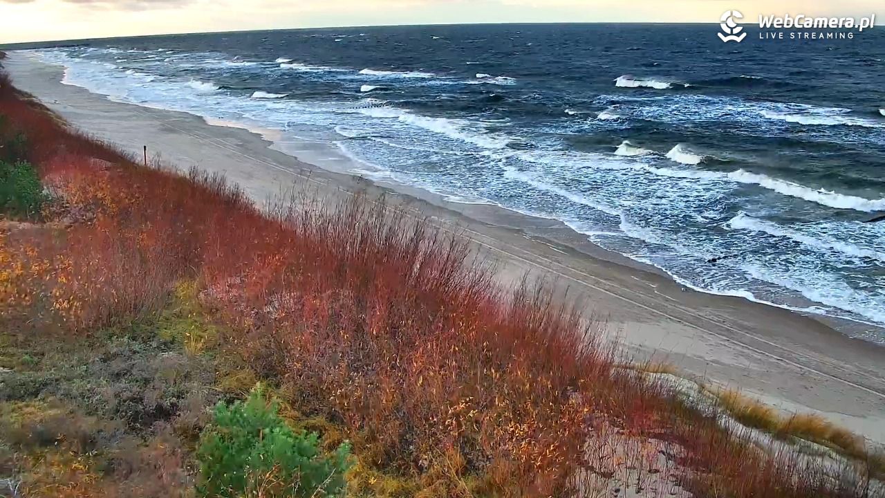 DZIWNÓW  - widok na plażę - 20 listopad 2024, 14:35