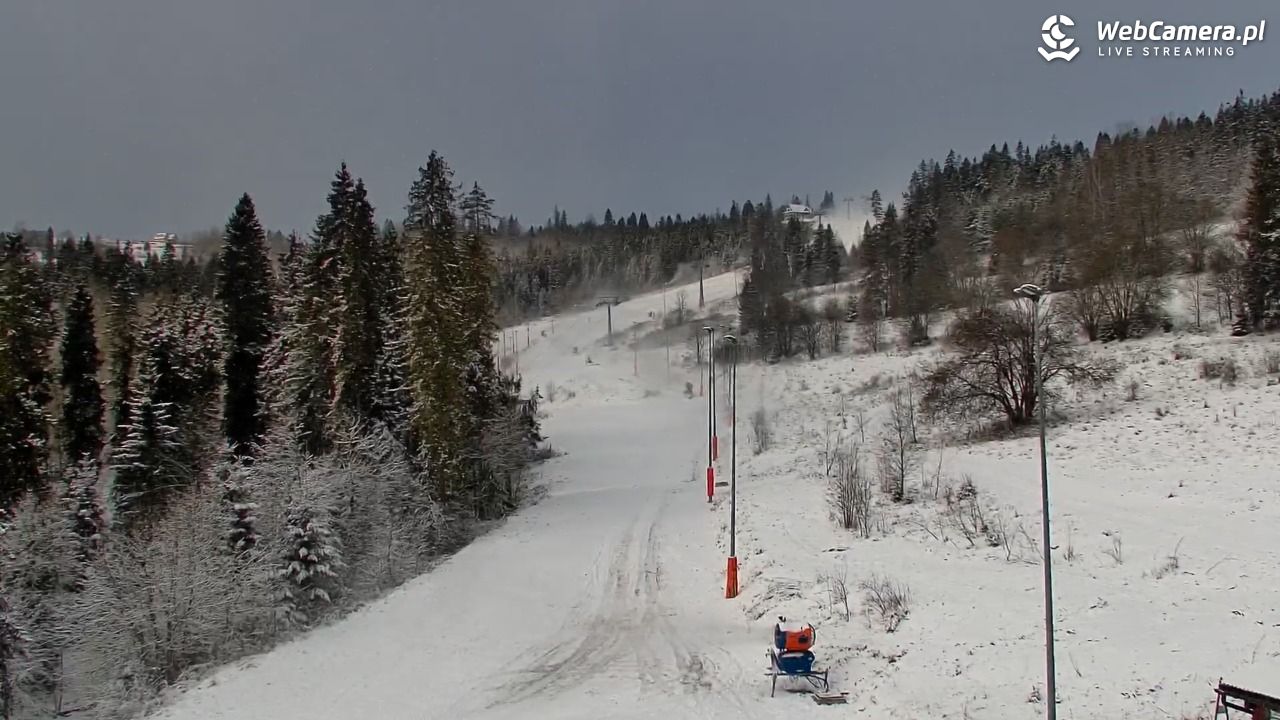 Kotelnica Białczańska - Remiaszów - 21 listopad 2024, 09:00