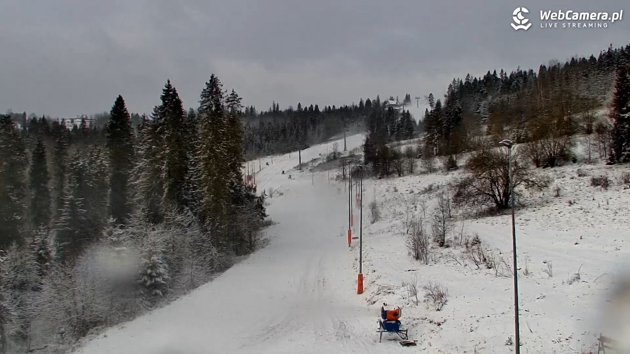 Kotelnica Białczańska - Remiaszów - 21 listopad 2024, 09:57