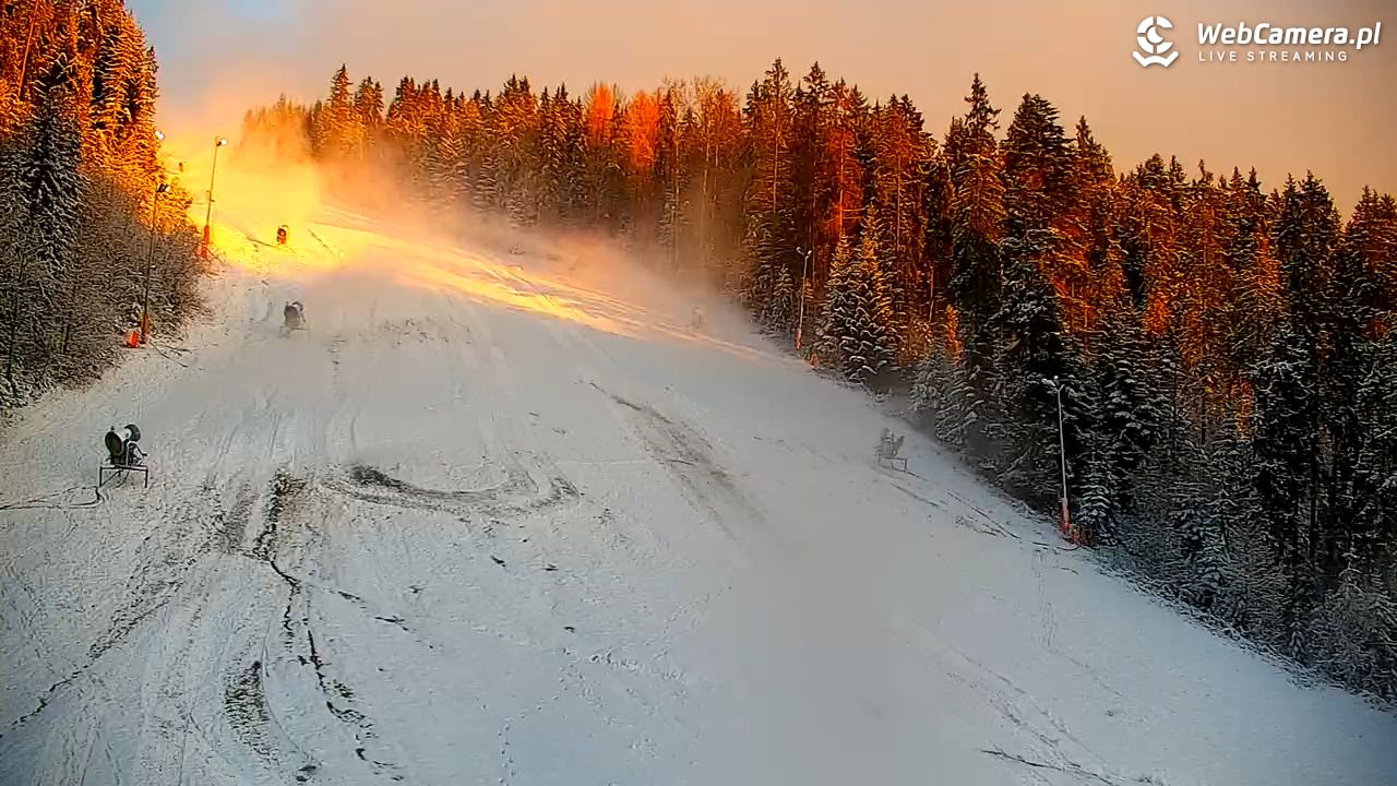 KOTELNICA - Pasieka Express - 21 listopad 2024, 07:20