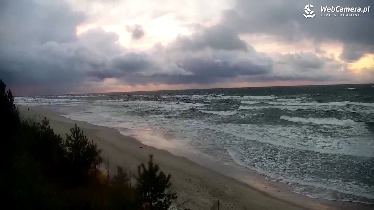 Krynica Morska - widok na plażę - 20 listopad 2024, 15:33