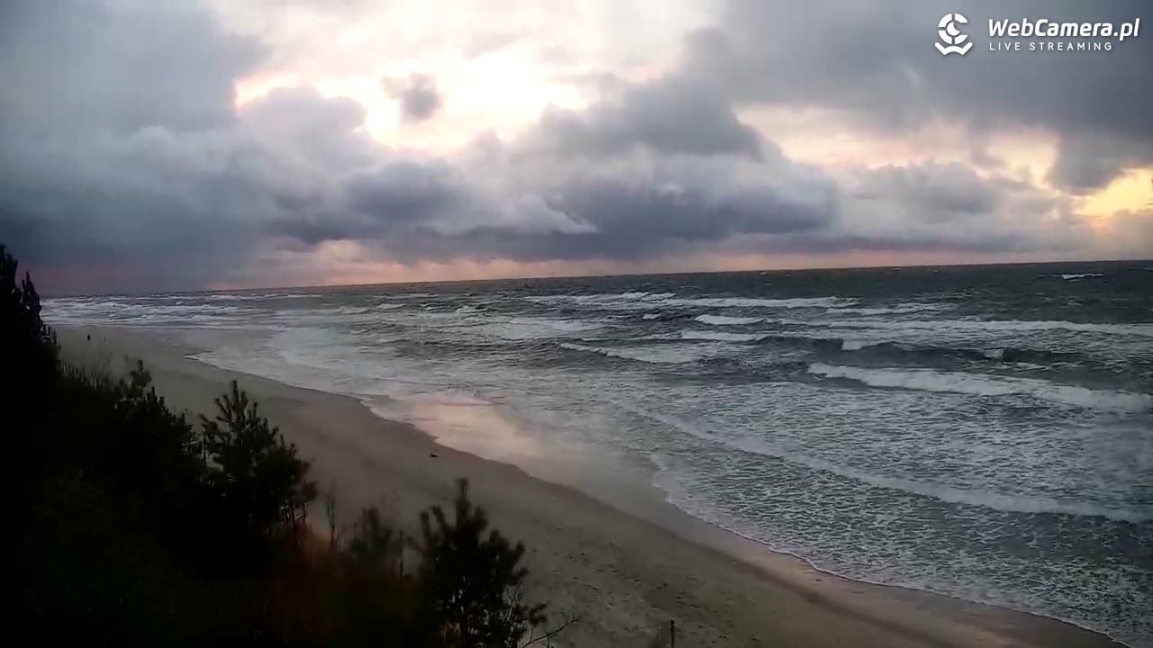 Krynica Morska - widok na plażę - 20 listopad 2024, 15:33