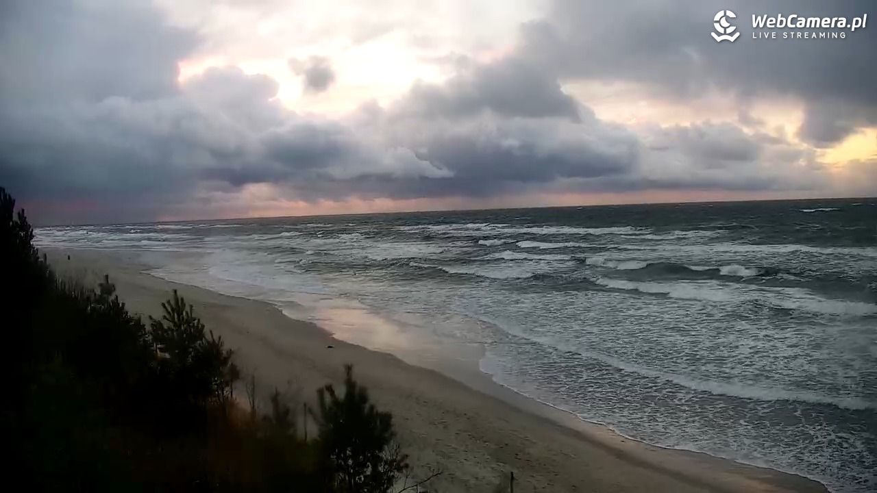 Krynica Morska - widok na plażę - 20 listopad 2024, 15:33