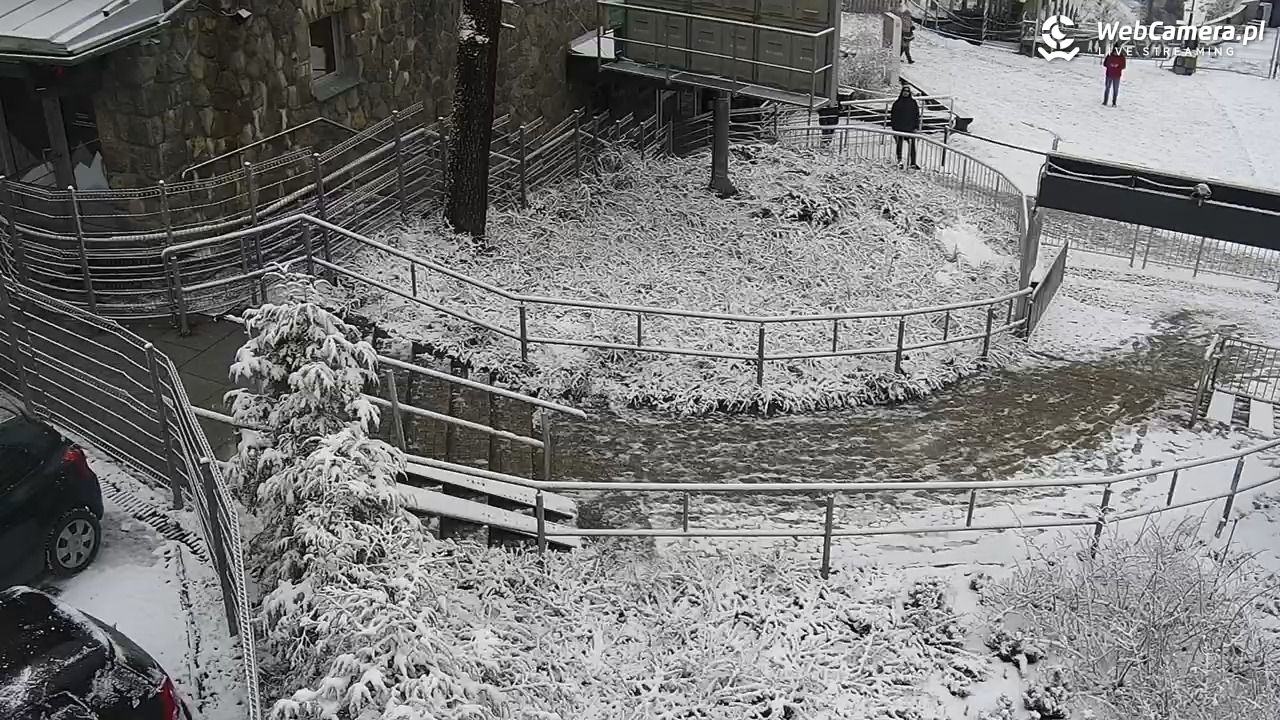 KUŹNICE - Kolej na Kasprowy Wierch - 20 listopad 2024, 13:40